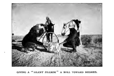 GIVING A "SILENT PILGRIM" A ROLL TOWARD MESHED.