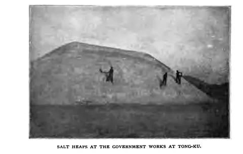 SALT HEAPS AT THE GOVERNMENT WORKS AT TONG-KU