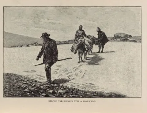 HELPING THE DONKEYS OVER A SNOW-FIELD.