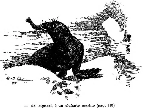 … No, signori, è un elefante marino (pag. 116)