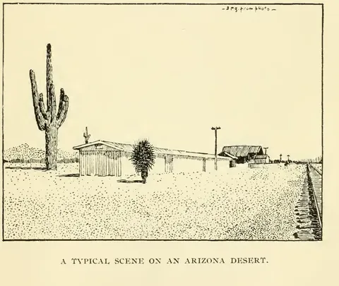 A Typical Scene on an Arizona Desert