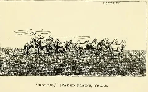 Roping, Staked Plains, Texas