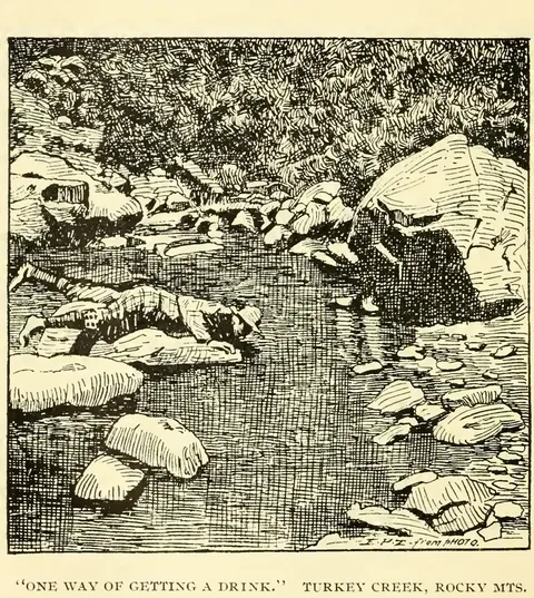 One Way of Getting a Drink, Turkey Creek, Rocky Mts.