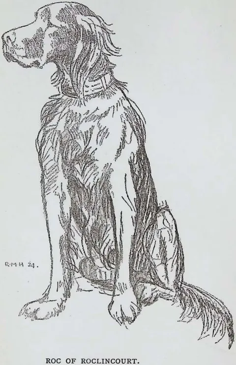 Roc of Roclincourt