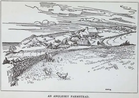 An Anglesey Farmstead