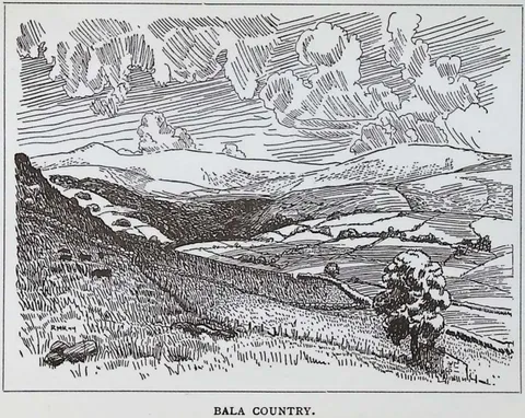 Bala Country