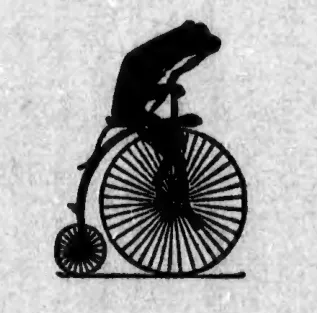 Frog riding a penny-farthing