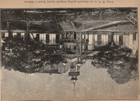 Hale W. T. C m Dynasach