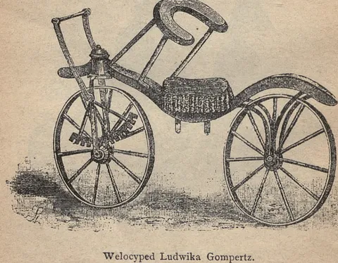 Welocyped Ludwika Gompertz