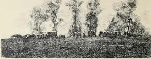Landschaft mit Weiden