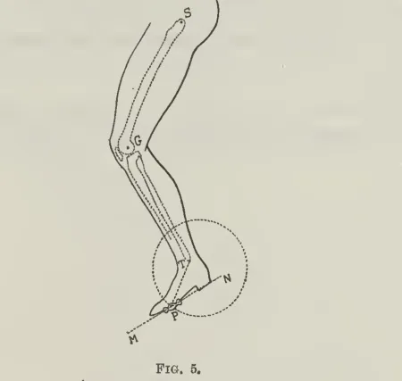FIG. 5