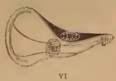 Planche II, Figure VI: Bicycle saddle variant
