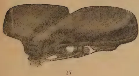 Planche III, Figure IV: Bicycle saddle variant