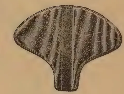 Planche III, Figure II: Bicycle saddle design