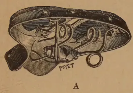 Planche IV, Figure A: Saddle with extended nose