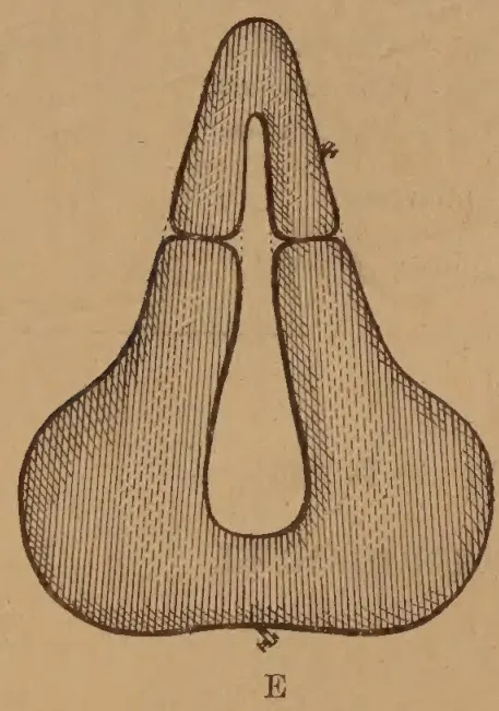 Planche IV, Figure E: Pneumatic saddle variant