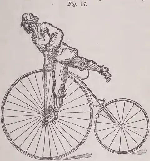 Fig. 17