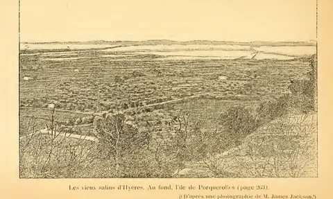 Les vieux salins d’Hyères. Au fond, l’île de Porquerolles (page 263). (D’après une photographie de M. James Jackson.)