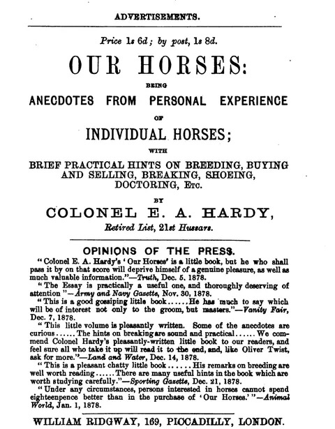 Our Horses: Anecdotes from Personal Experience
