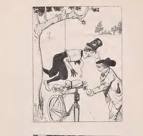 Der Fahrrad-Marder (3)