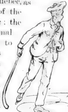 Hockey player