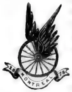 Bicycle wheel emblem