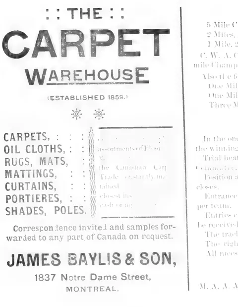 The Carpet Warehouse