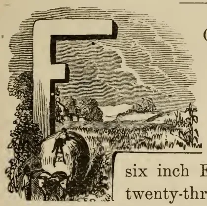 Chapter I drop cap F with rural landscape