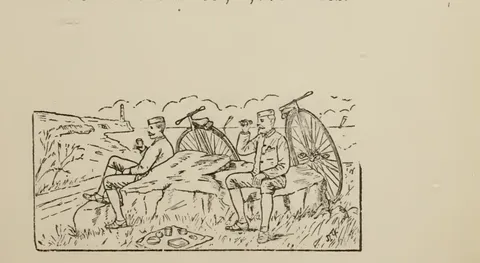 Picnic or outdoor gathering scene