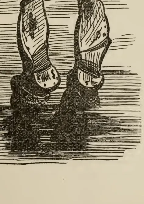 Feet in water
