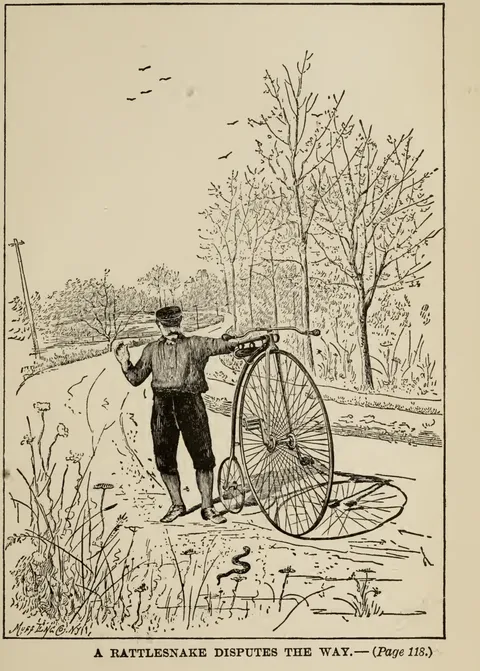 A RATTLESNAKE DISPUTES THE WAY.…(Page 118.)