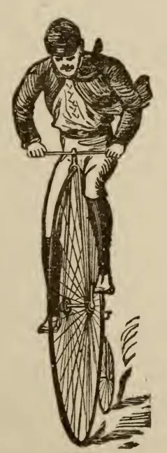 Cyclist in motion