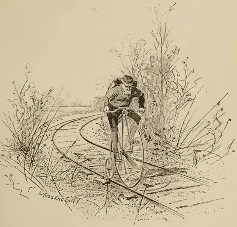 Cyclist resting beside tree in landscape