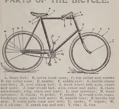 Parts of the Bicycle.