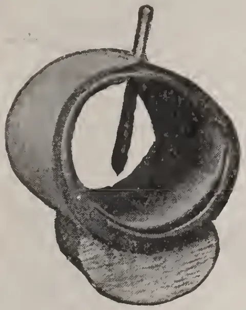No. 1.