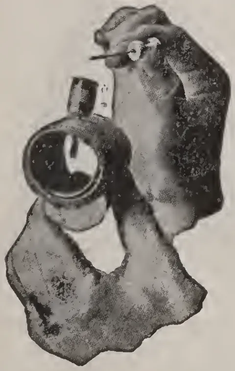 No. 3.