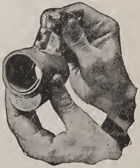 No. 4.