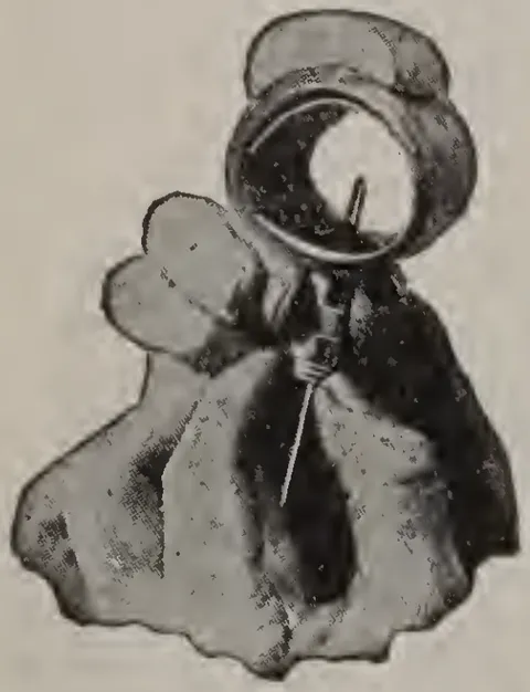 No. 5.
