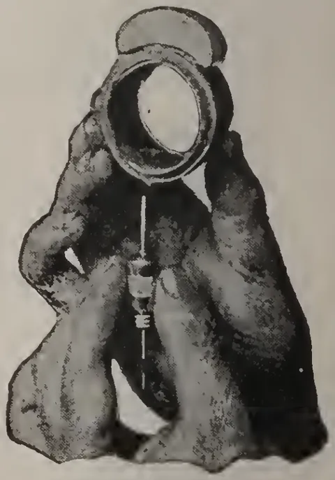 No. 6.