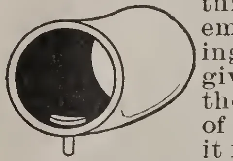 Single Tube Tire Repaired with a Plug.