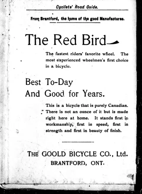The Red Bird