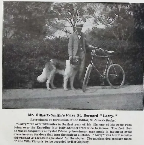 Mr. Gilbart-Smith's Prize St. Bernard "Larry."