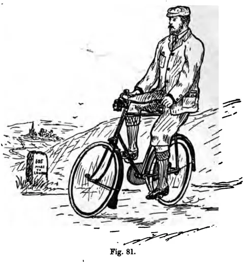 Fig. 81