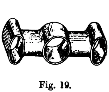 Fig. 19