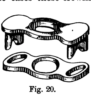 Fig. 20
