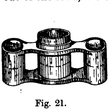 Fig. 21