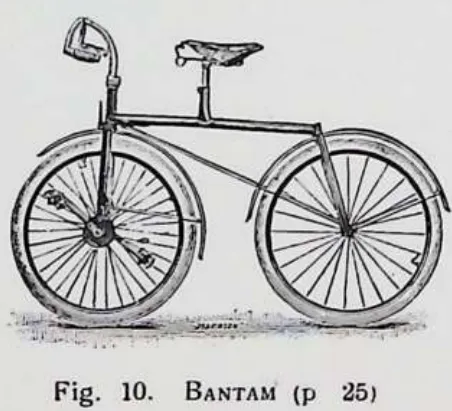 Fig. 10. Bantam (p 25)