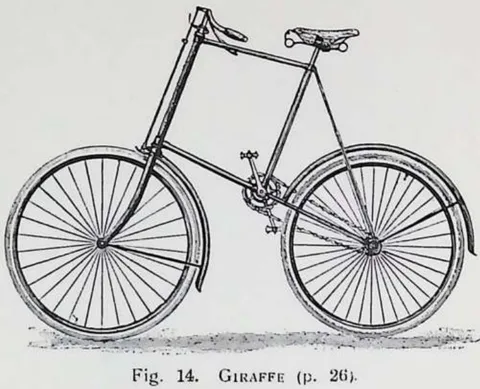 Fig. 14. Giraffe (p. 26).