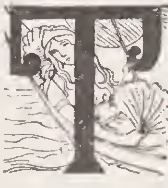 Pictorial initial T (Ladies' Riding)