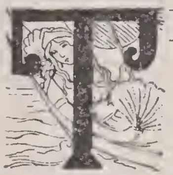 Pictorial initial T (Selection of Machine)